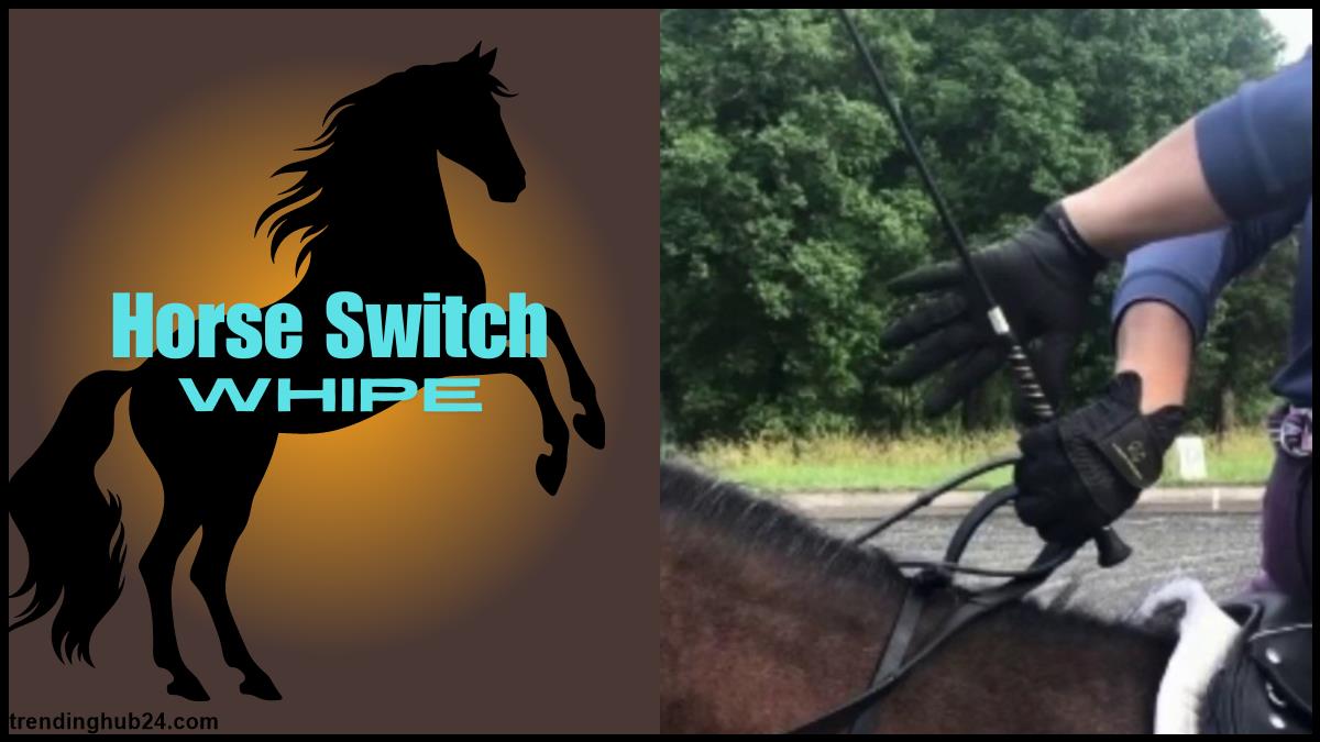 horse switch whip (flexible shaft and lash).jpg